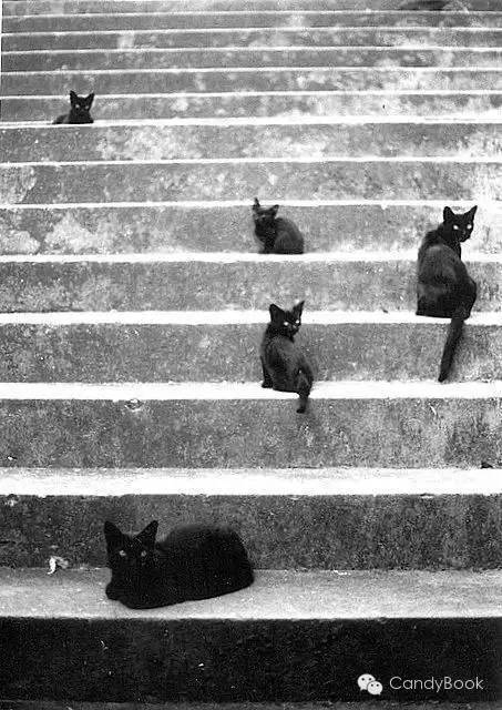 榛戝柕杩囩▼閲嶈杩樻槸缁撴灉閲嶈,榛戝柕浠ュ悗杩橀渶涓嶉渶瑕侀伩瀚屼簡