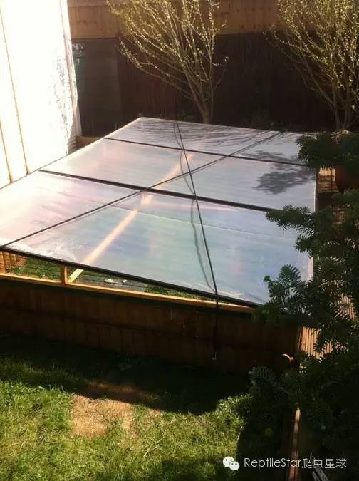 ReptileStar爬虫星球