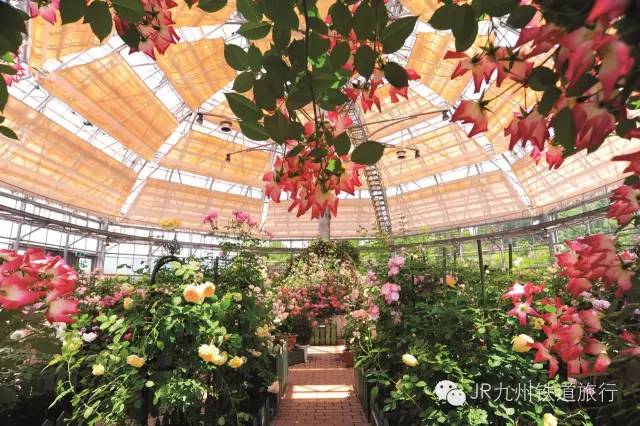 日本女人在中国哪个城市最多,日本女人最多的城市