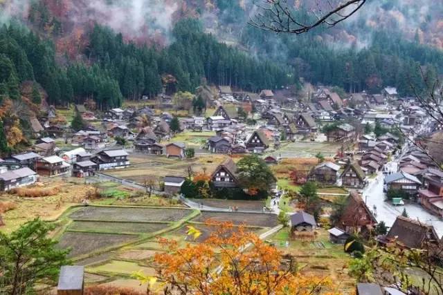 红叶堪比京都，温泉不输北海道的赏枫地，11-12月往返机票￥800+，不用担心人潮说走就走