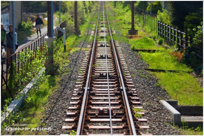 去箱根泡温泉要多少钱,箱根有专门泡温泉的地方吗