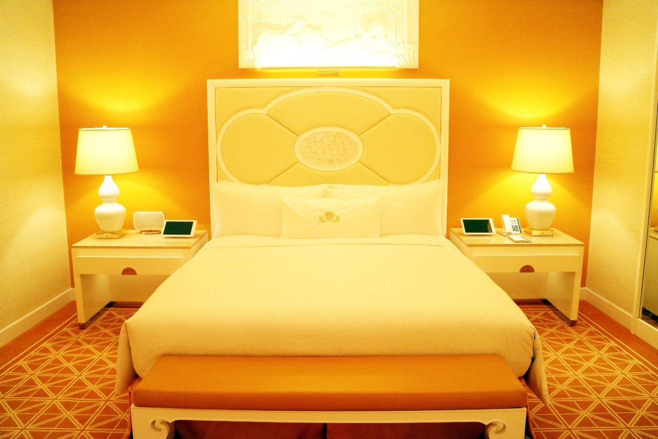 澳门永利皇宫免费参观吗,澳门旅游永利皇宫攻略图