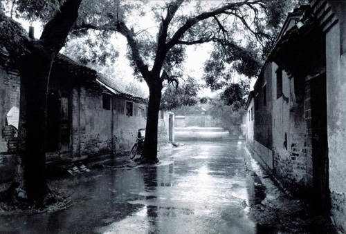 胡同的回忆的句子,胡同的记忆视频