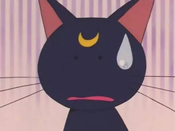 榛戝柕杩囩▼閲嶈杩樻槸缁撴灉閲嶈,榛戝柕浠ュ悗杩橀渶涓嶉渶瑕侀伩瀚屼簡