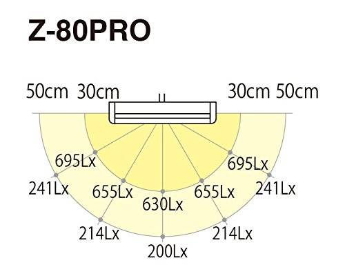 我需要的是麻将灯、美剧灯、波士顿读书人灯