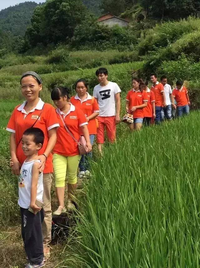 淘宝2022年做了什么事情,农村淘宝是个什么事