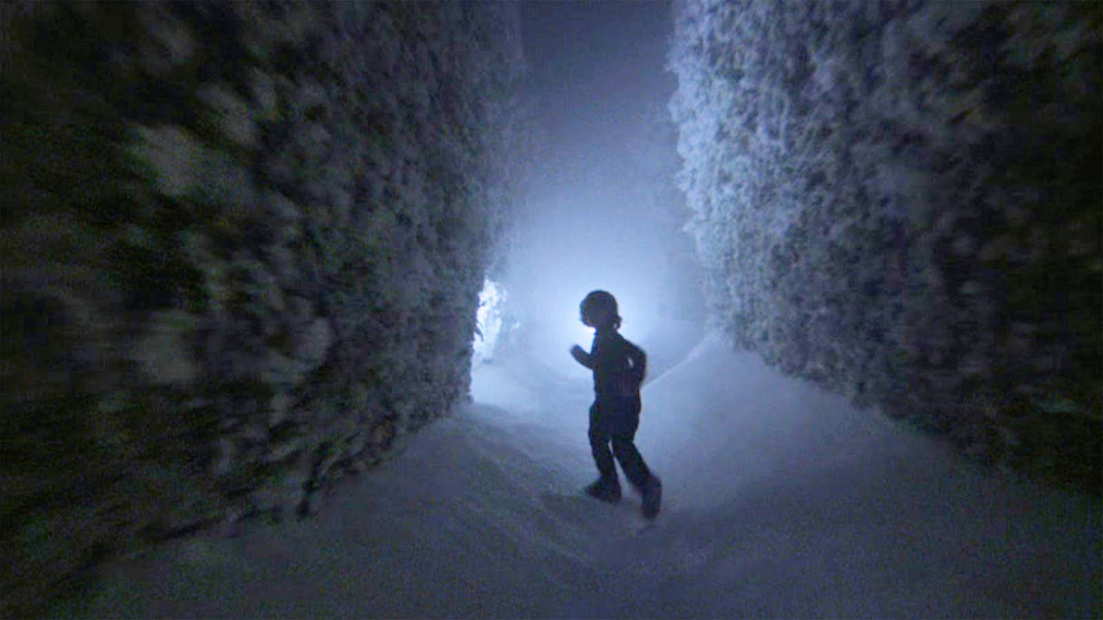 十部顶级吓人搞笑恐怖电影推荐,17部经典万圣节电影