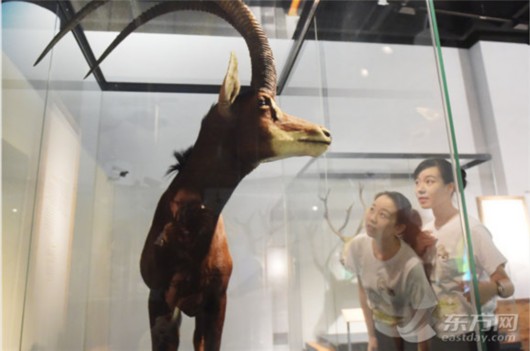 上海一周新闻快讯,上海一周要闻