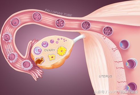 女人白带的6种状态，隐藏着重要的疾病信号，一定要小心！