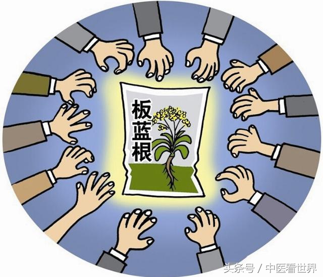 打完疫苗感冒了能喝板蓝根吗,感冒吃了板蓝根可以打疫苗吗