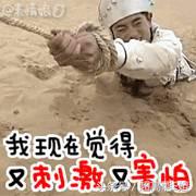 保健食品冒充减肥产品被抓,保健食品假冒食品