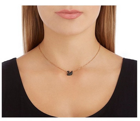 黑天鹅为什么那么火,黑天鹅为什么火