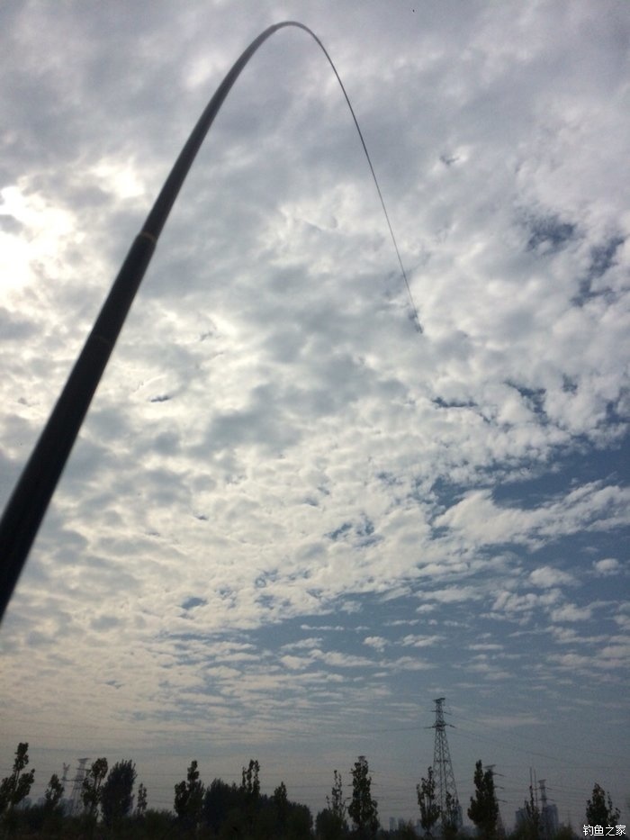 新手入门鱼竿推荐品牌,新手入门推荐鱼竿