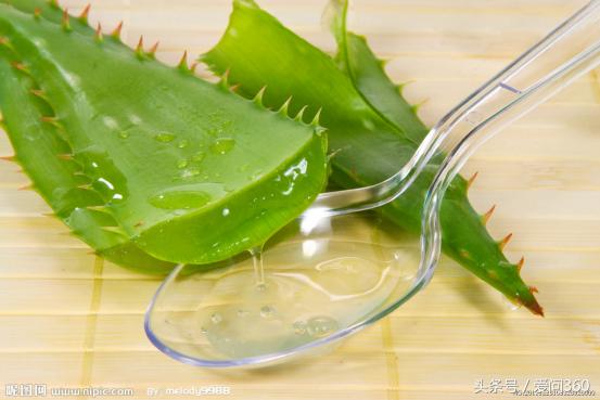 芦荟胶可以防晒吗,芦荟胶可防晒吗