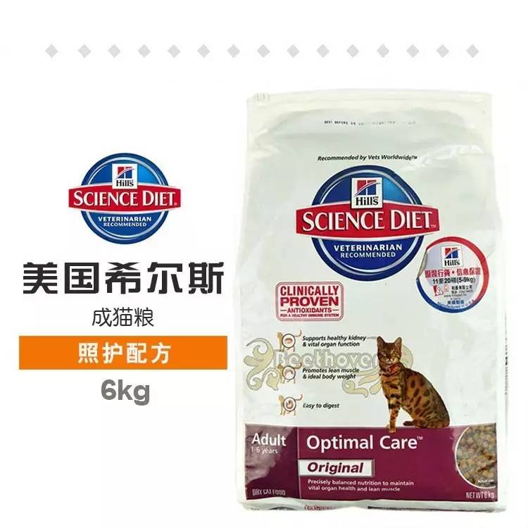 猫粮大盘点｜你家猫咪适合哪一款？