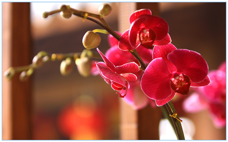 怎样才能了解自己的兴趣所在,怎样发现自己的兴趣和擅长