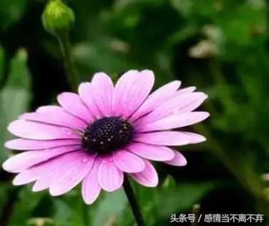 打工幽默顺口溜句子,卖货搞笑顺口溜经典句子