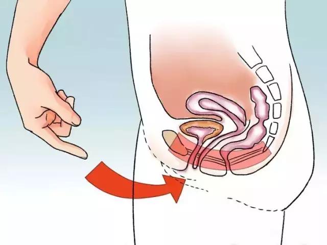 月嫂需要掌握哪些催乳的知识,月嫂要懂哪些知识和技能