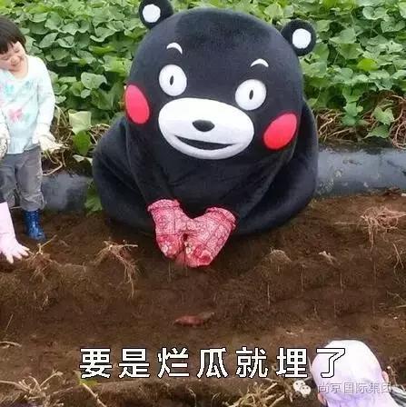 吃货的世界观,吃货的爱情观完整版