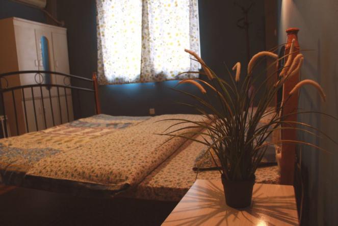 成都蒸汽青年旅舍，艺术与灵魂的交流之地