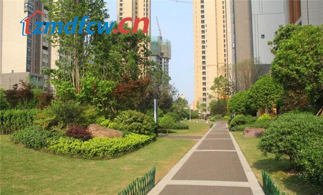 小丫看房日记,小丫探房驻马店