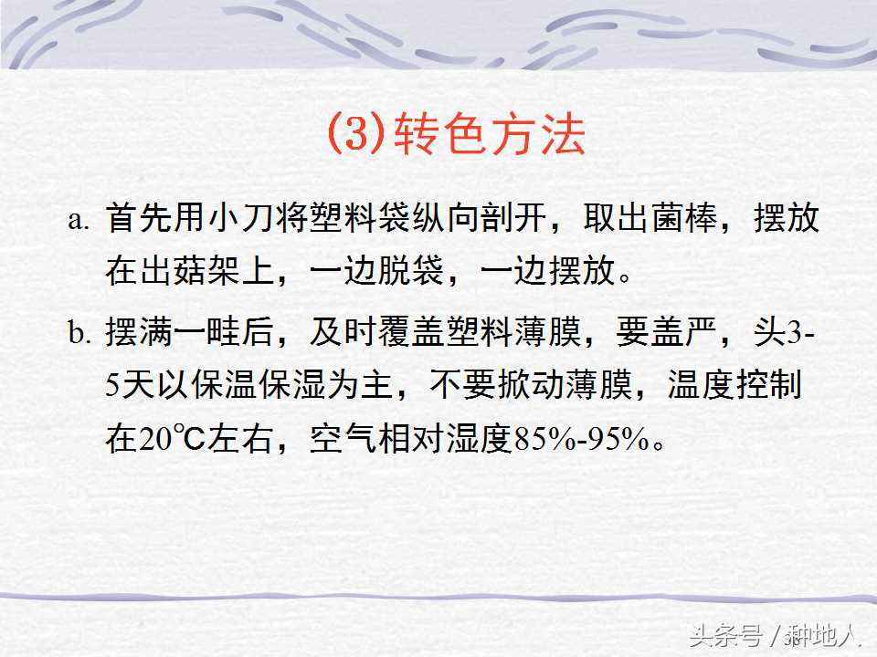 香菇栽培实用技术教案,屋顶香菇栽培