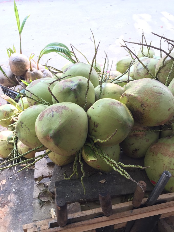 我的第一次出行视频,我的第一次不间断骑行100公里