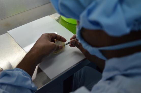 陈氏燕窝特选极品天然燕窝,刷胶燕窝和天然燕窝