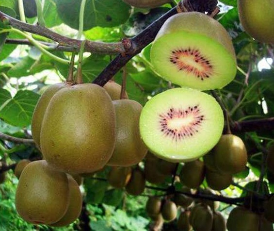 护眼隐藏灯,眼部护眼最好的方法