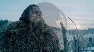 正面对抗熊的武器,什么武器能对抗熊