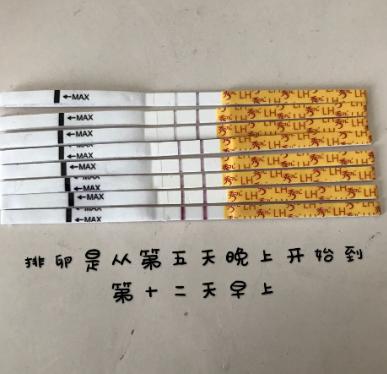 移植冻囊胚后第二天腰酸背痛,移植后一直胃不舒服