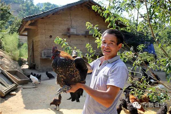 安康日报报刊,陕西安康日报