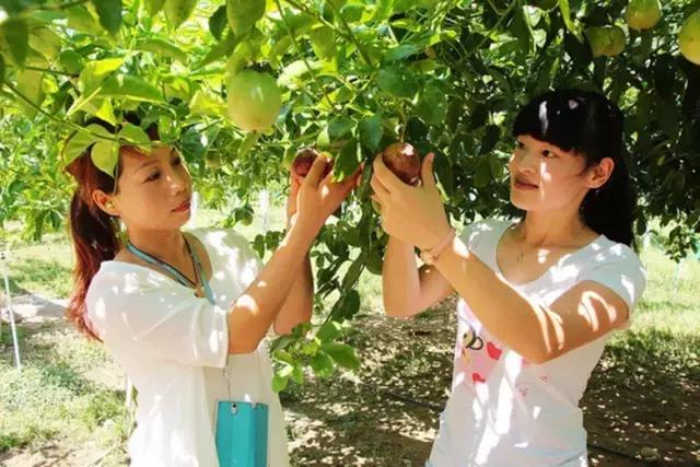 港南区哪里好玩,港南市哪里好玩