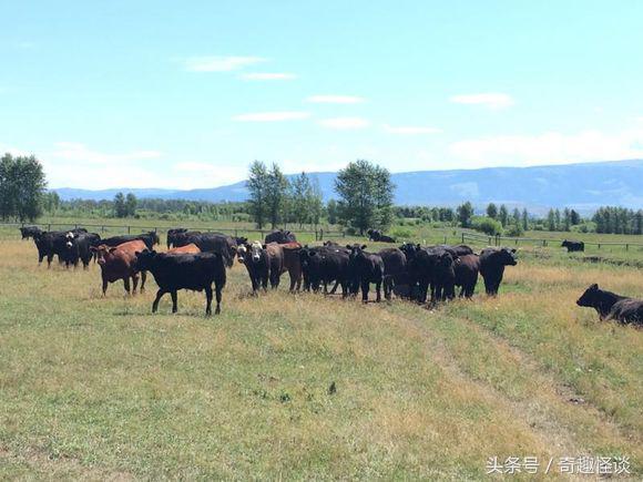 在美国旅游日常,在美国旅游攻略大全最新