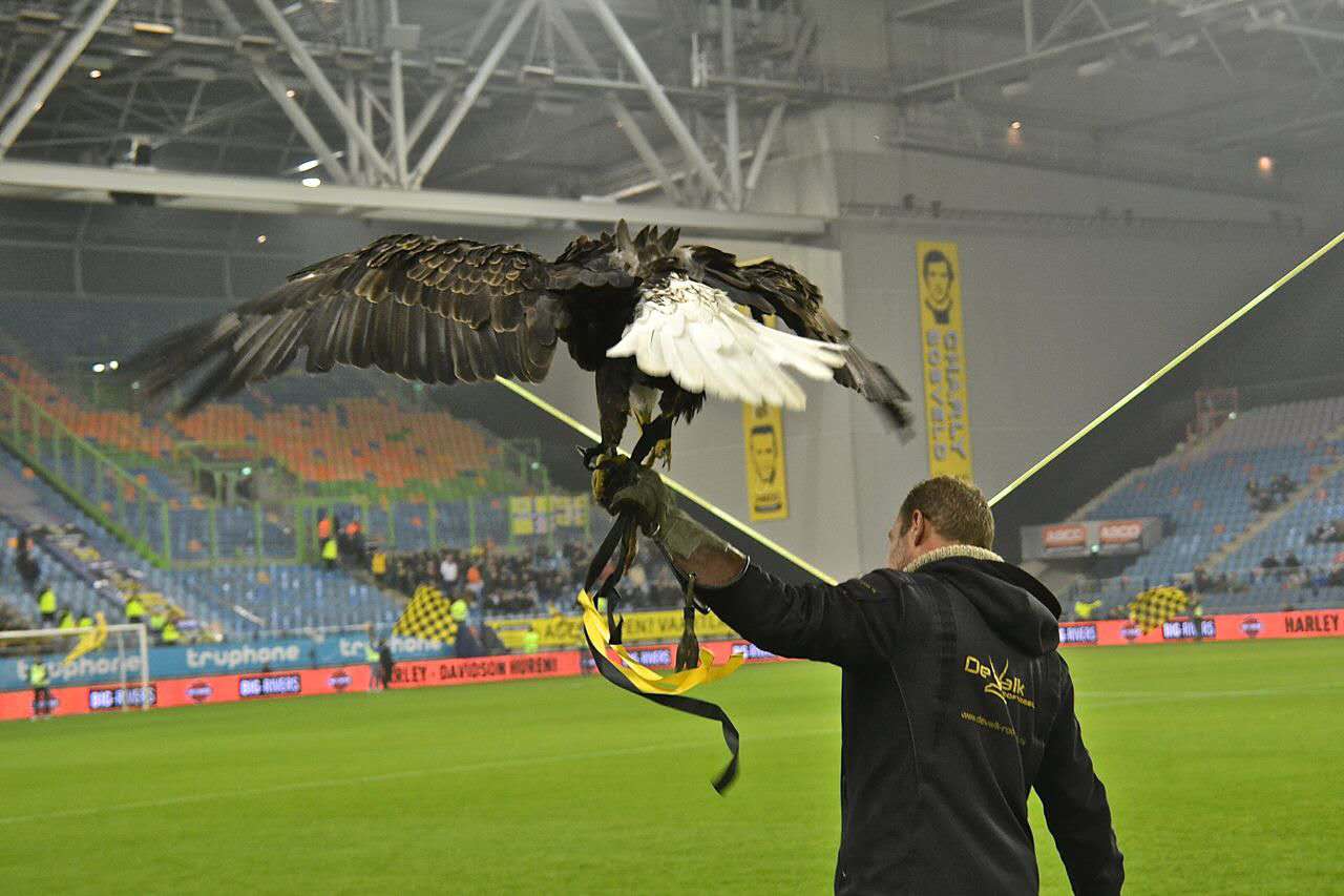 维特斯张玉宁进球,2018年世界杯亚洲12强赛张玉宁