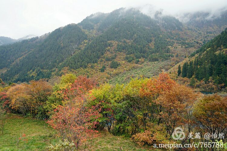 九寨沟让人失语的美丽童话世界,九寨沟有没有童话世界的景点