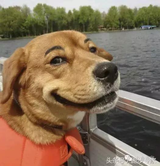 远离黑指甲,如何整治灰指甲