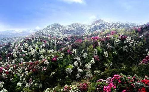 广西最美的风景推荐,大美广西十大最美景点