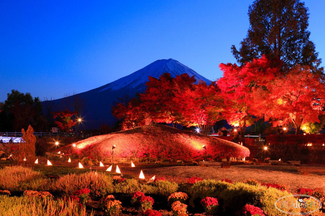 美酱周报|虽说秋意浓,更要秋意暖!