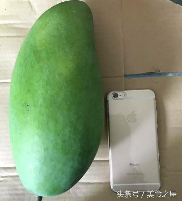 越南大青芒，吃一口就爱上了