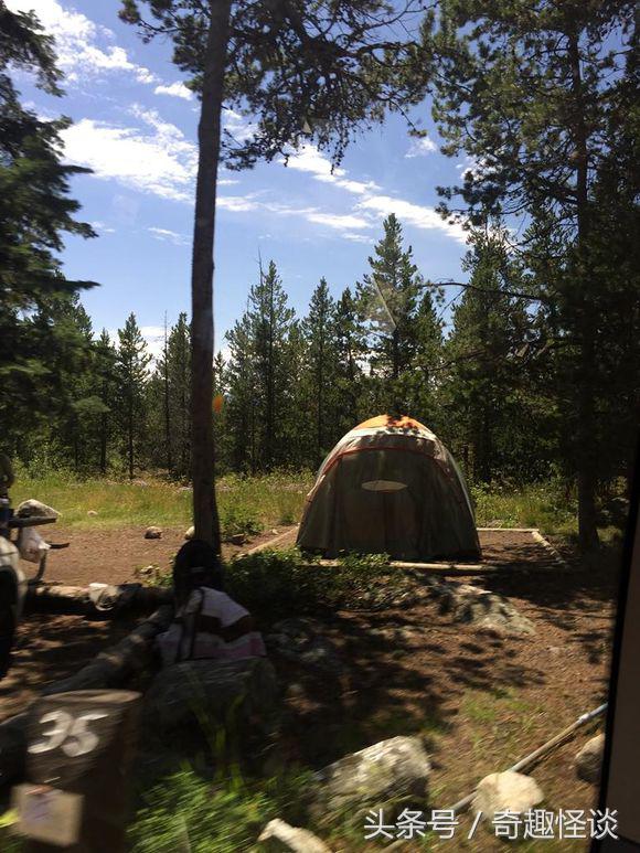 在美国旅游视频教学,美国自由行自驾游