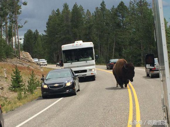 在美国旅游日常,在美国旅游攻略大全最新