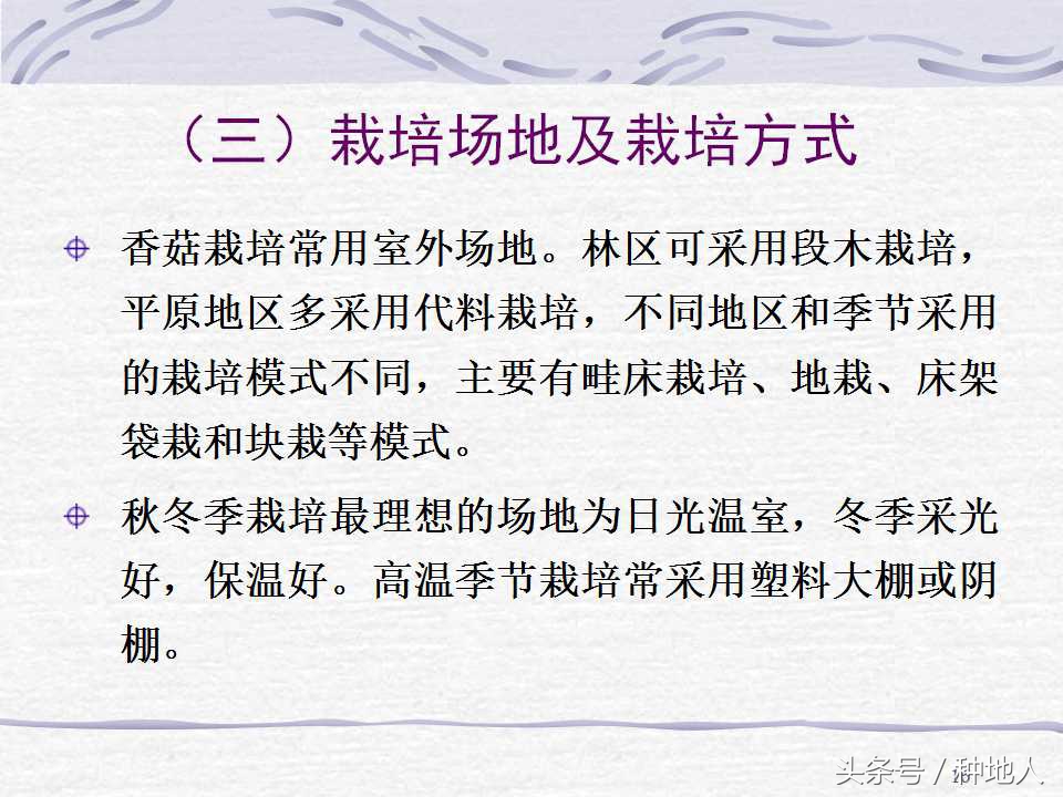 香菇栽培实用技术教案,屋顶香菇栽培