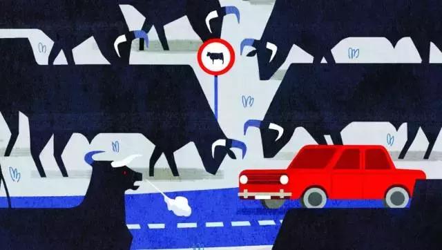 如何创办vc公司,在vc公司工作的收入