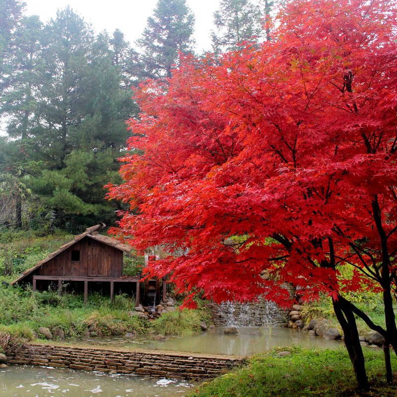 印象武隆属于什么档次,重庆旅行攻略观夜景