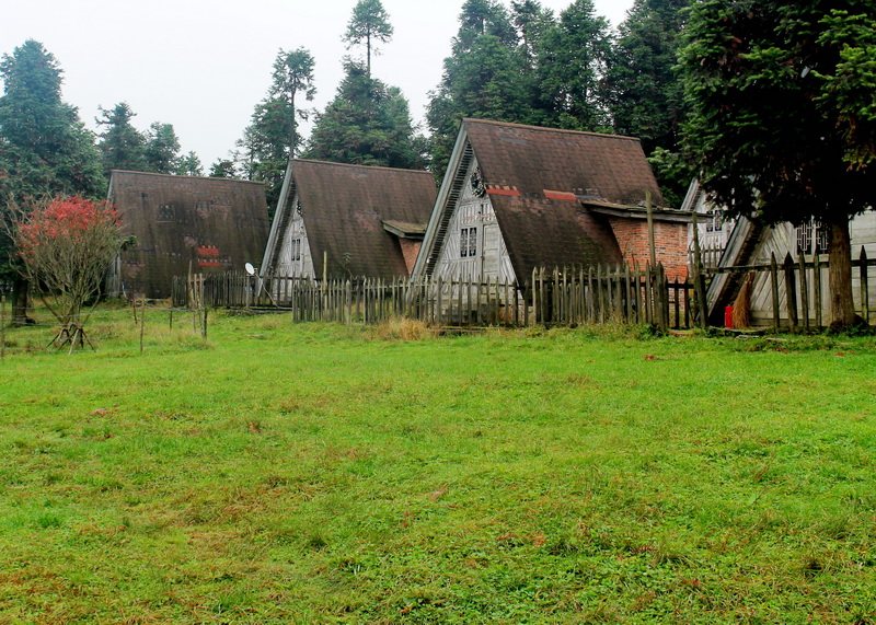 印象武隆属于什么档次,重庆旅行攻略观夜景