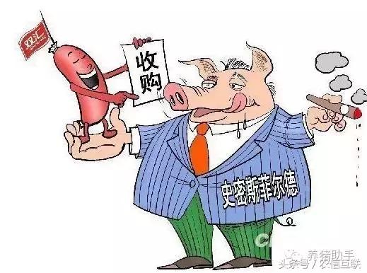 猪价上涨养猪人身价倍增,猪价暴涨带动什么