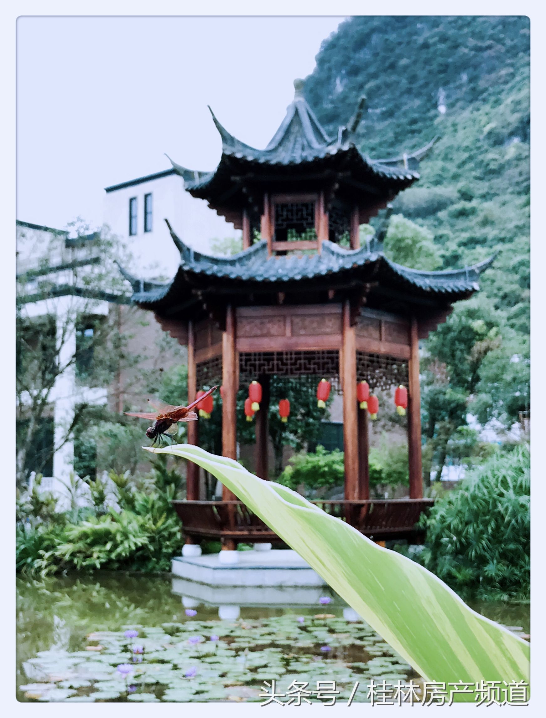 逃离城市寻找生活,远离城市的喧嚣寻找心灵的净土