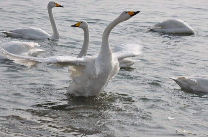 天气转冷的温泉,天气冷了泡温泉