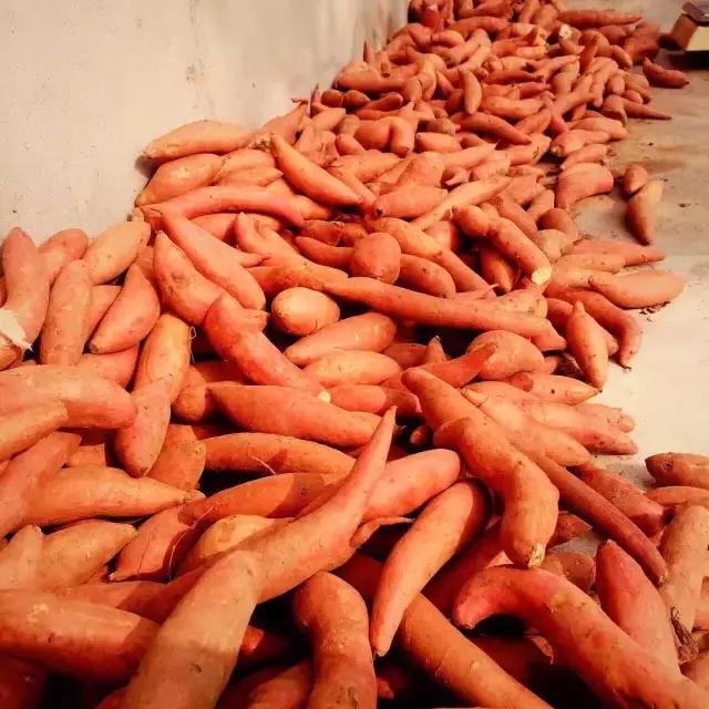 孩子说想出去玩怎么办,孩子问为什么不能出去玩